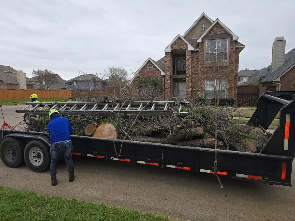 Expert Tree Fertilization with proper safety equipment in Losantville